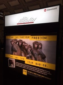 Union Station platform