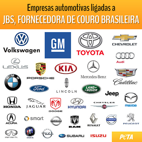 https://investigations.peta.org/wp-content/uploads/2016/07/peta-social-car-companies-brazil-leather-portugese.jpg