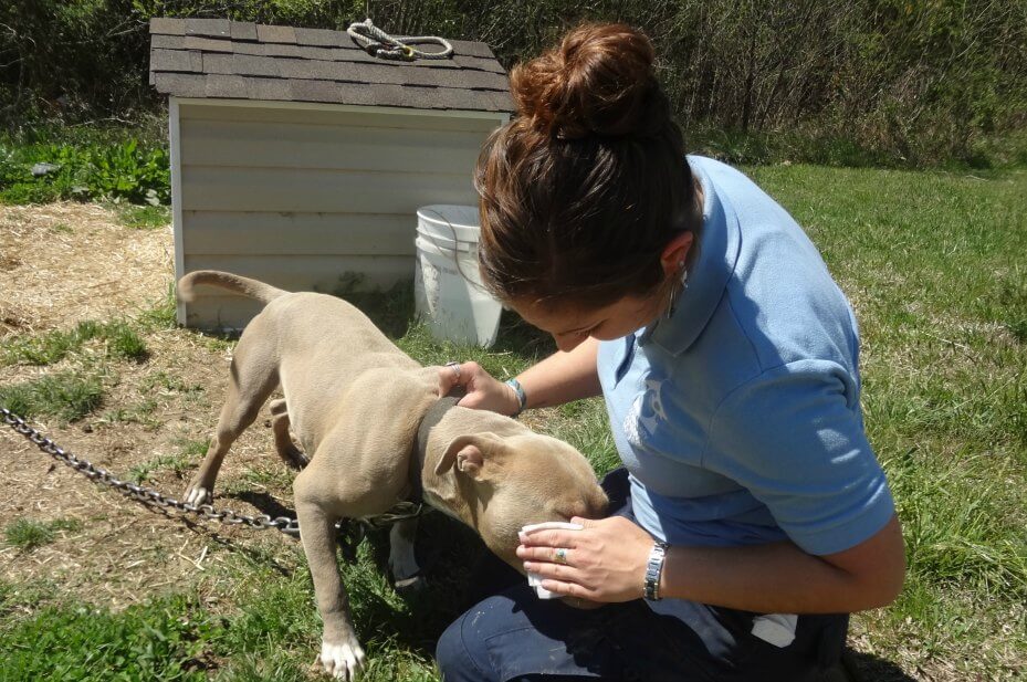 Meet PETA's Rescue Team and the Animals They Help