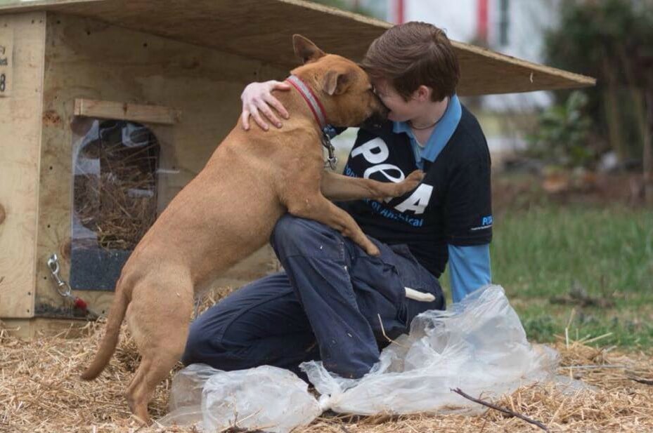 Meet PETA's Rescue Team and the Animals They Help