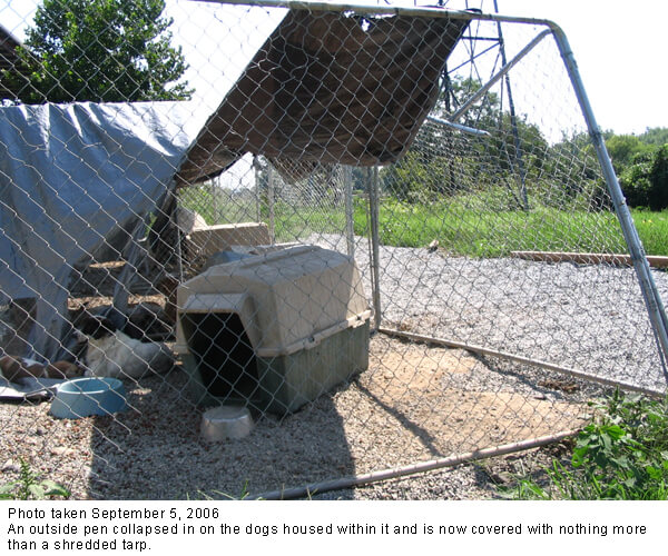 fencing collapsed onto a dog's shelter