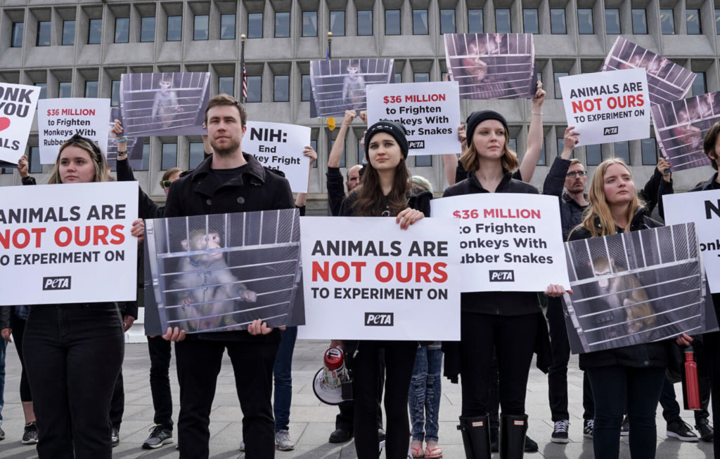 PETA Supporters Protest NIH Monkey Experiments