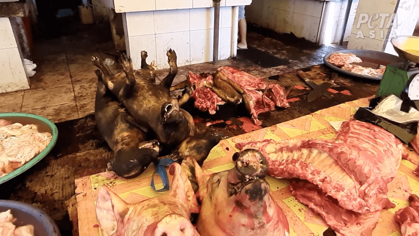 https://investigations.peta.org/wp-content/uploads/2020/04/flesh-of-boars-dogs-wet-markets.png