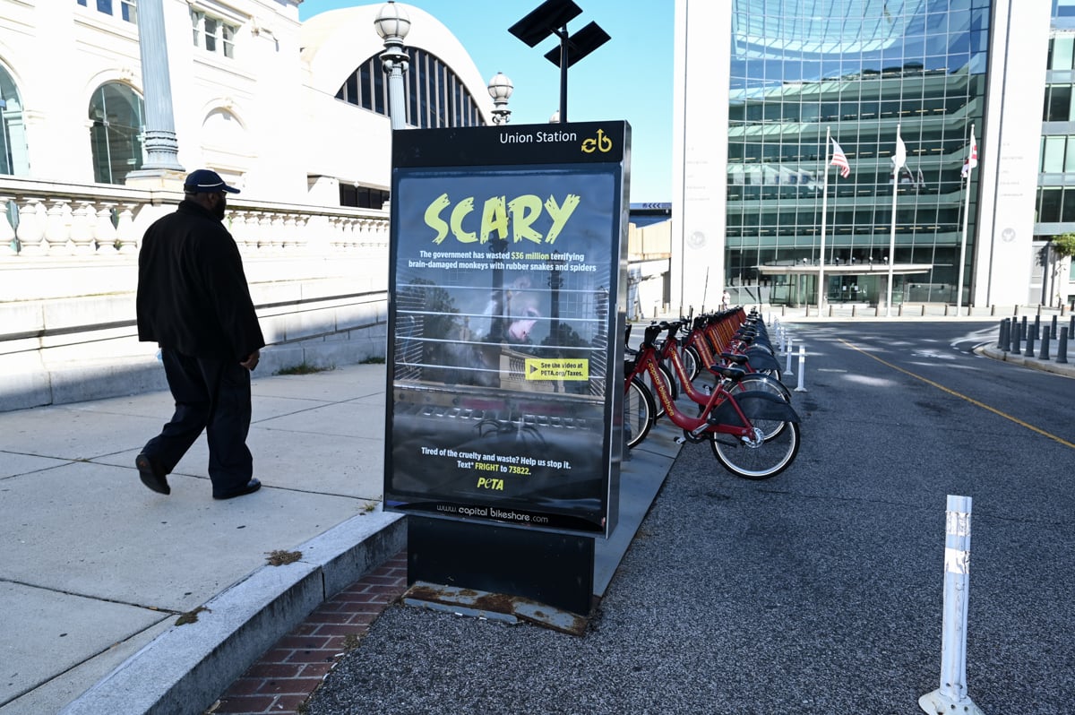 Washington DC bikeshare ads