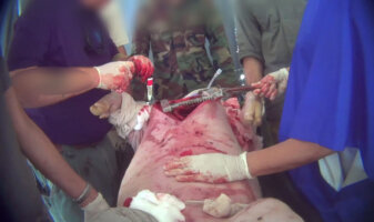 military trauma training performed on a pig