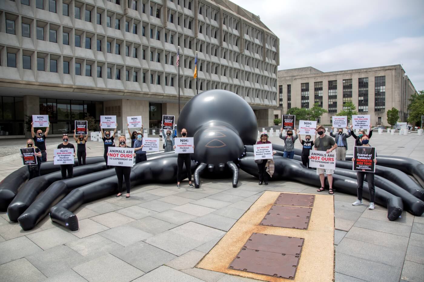PETA Demonstrators with giant spider at National Institutes of Health