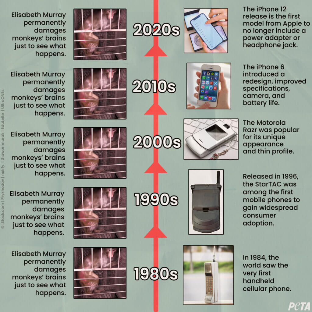NIH Monkey Experiments timeline