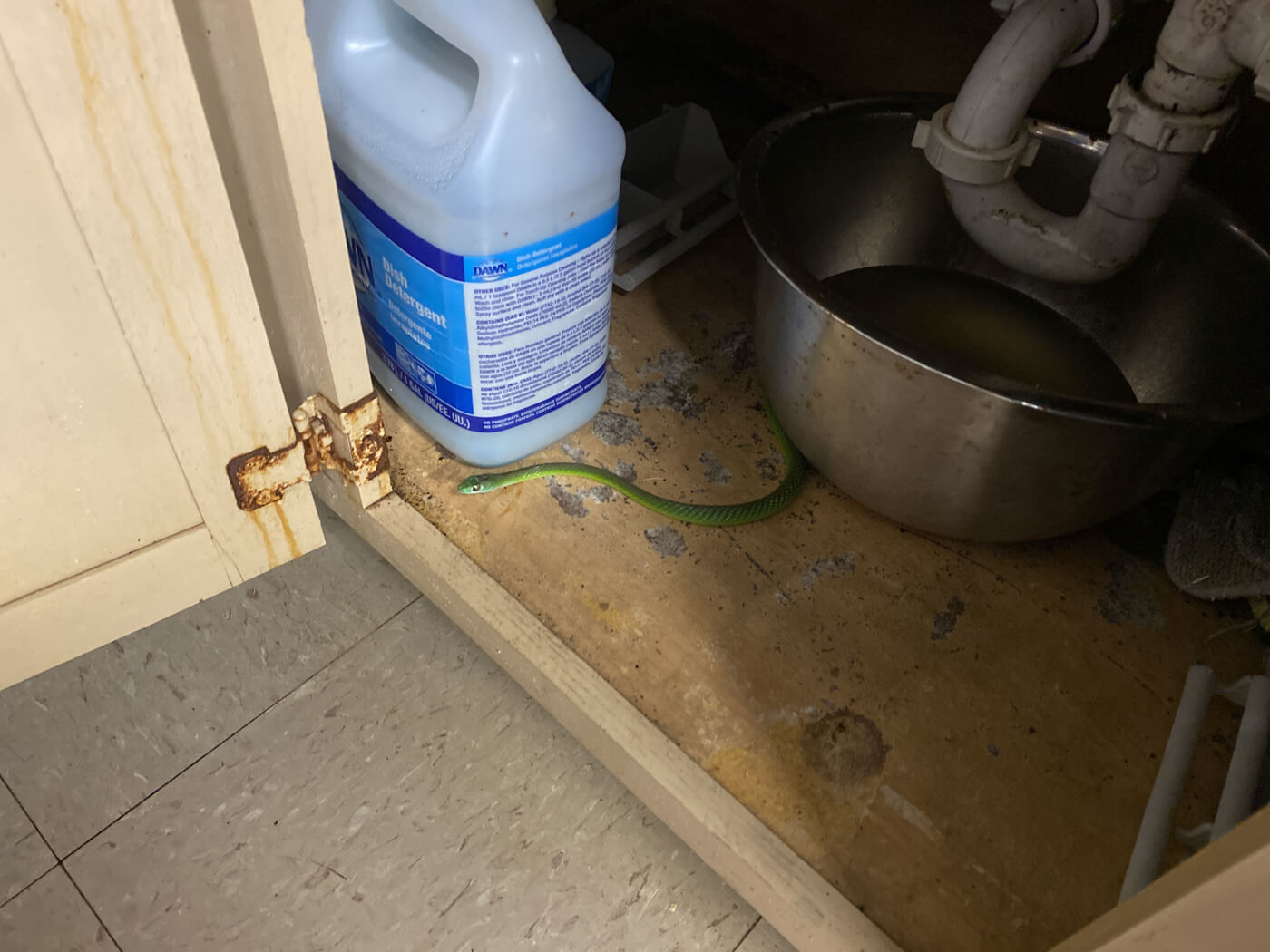 Animal Suffering at Austin Aquarium Exposed PETA Investigates