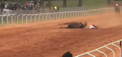 https://investigations.peta.org/wp-content/uploads/2022/07/jockey-injured-in-fall-from-horse.jpg