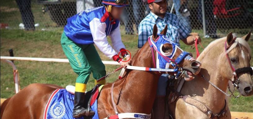 Fourteen-year-old jockey with an electric shock device