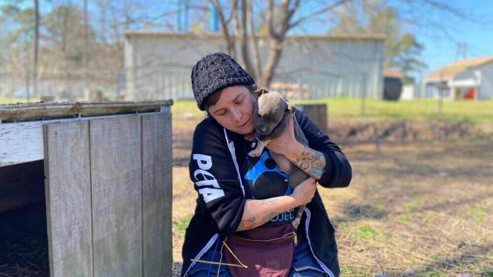 PETA's Rescue Team staff visited Geno, a "backyard dog"