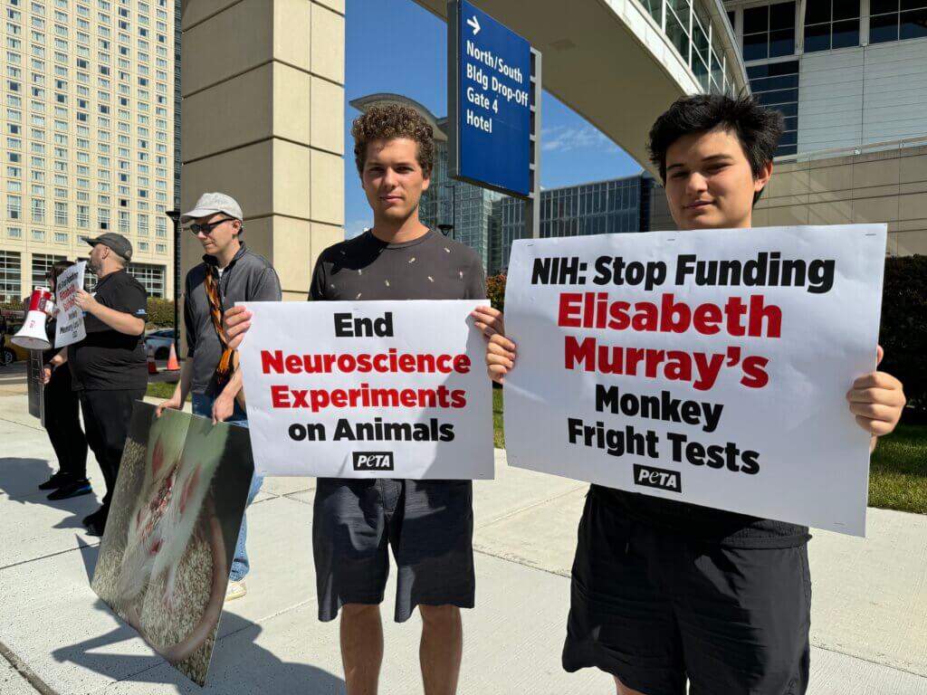 Demonstrators holding signs with text "End Neuroscience Experiments on Animals" and "NIH: Stop Funding Elisabeth Murray's Monkey Fright Test"