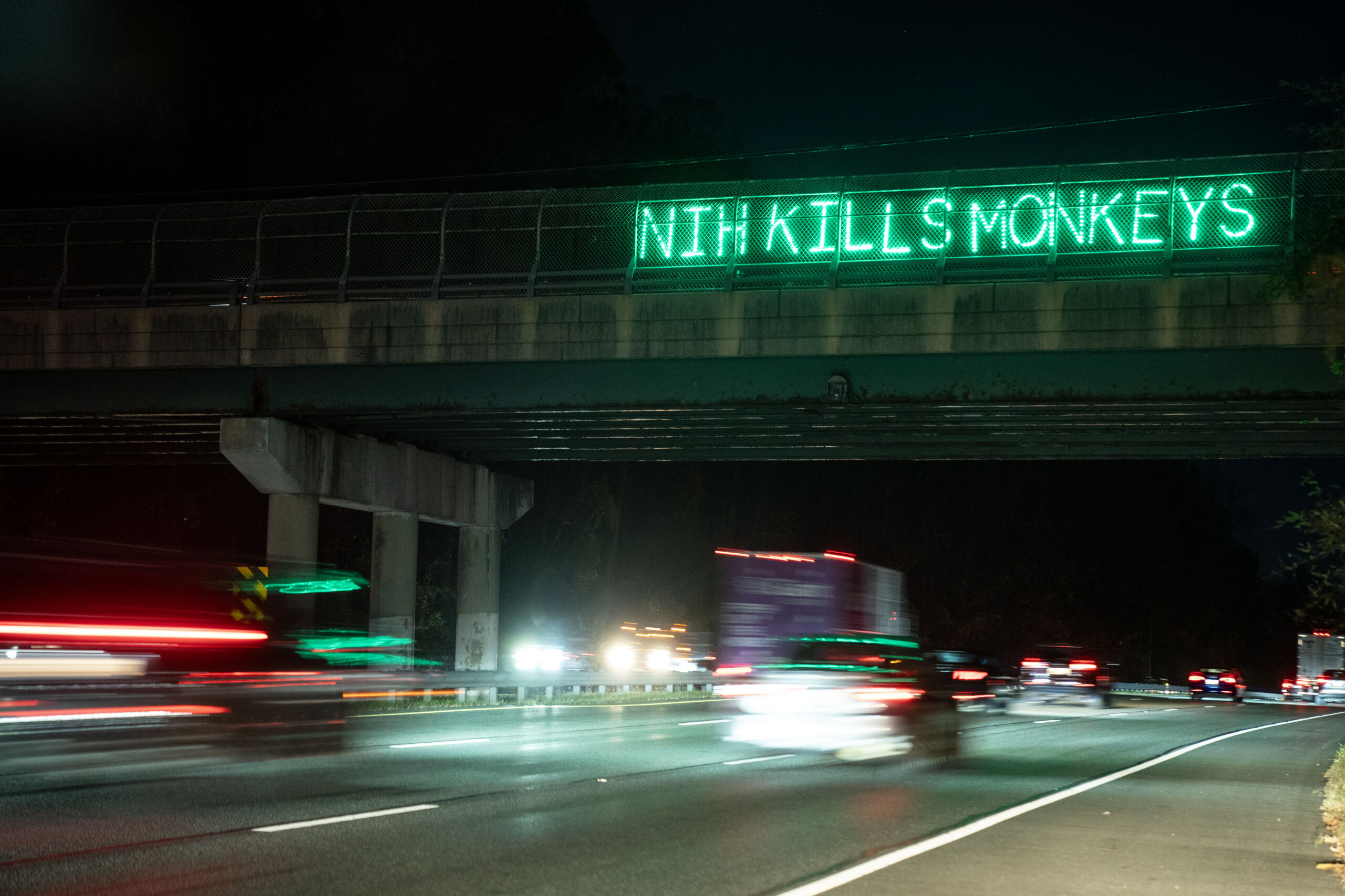 A lightboard with 'NIH KILLS MONKEYS' spelled out