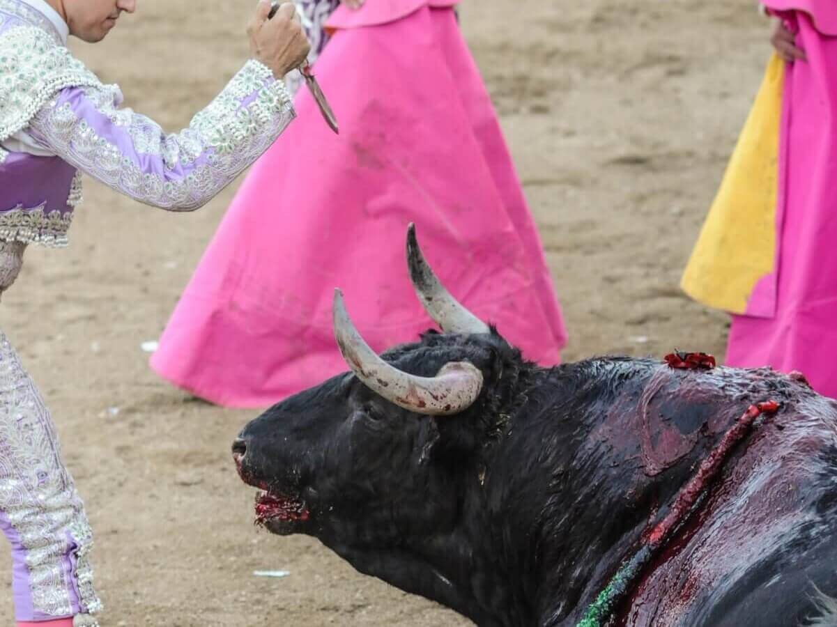 Bullfighting Goes Against Christ’s Teachings—But These Priests Are Still Defending It