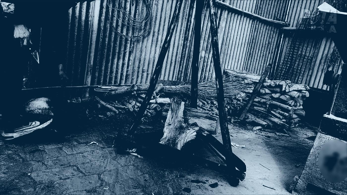 Duotone photo of a worker crouched over a badger on the ground, holding a knife while restraining the animal with their foot.