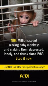 NIH Baby Monkey Ad