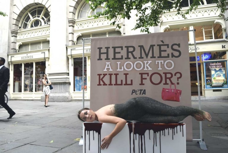 hermes animal cruelty